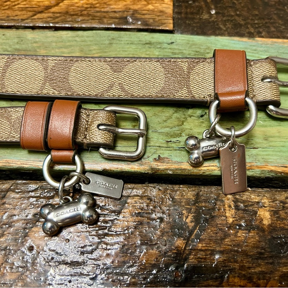 Coach Brown Logo Dog Collar with Branded Charms